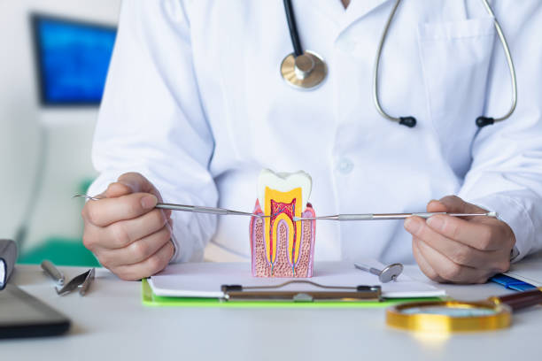 Best Emergency Dentist Near Me  in Ina, IL